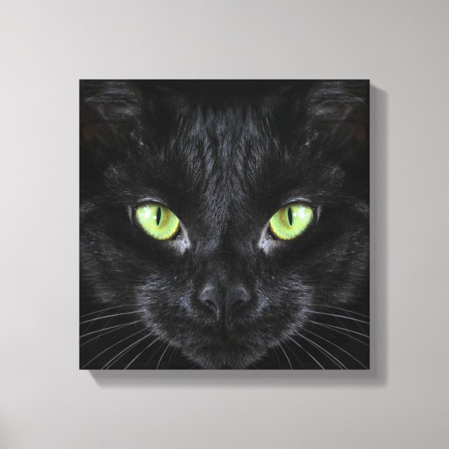 Svart katt med gröna ögon canvastryck (Framsida)