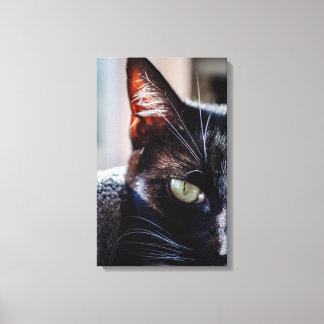 Svart katt med gröna ögon Wrapped Canvas