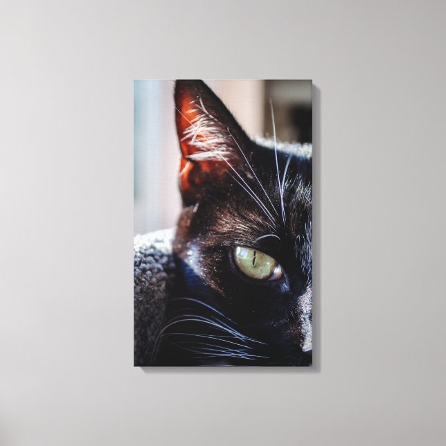 Svart katt med gröna ögon Wrapped Canvas (Framsida)