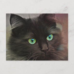 Svart katt med grönt ögon porträtt vykort