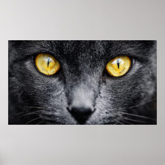 Svart katt med gyllene ögon Väggkonst – Mystisk An