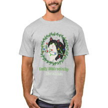 Svart katt med hanger och juldistraktion