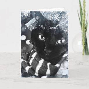 Svart katt med snöflingorjulkortet helgkort