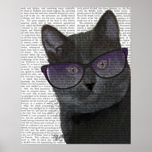 Svart katt med solglasögon poster