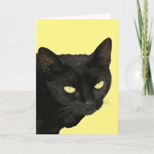Svart katt med vackra gula ögon vektorkonst kort