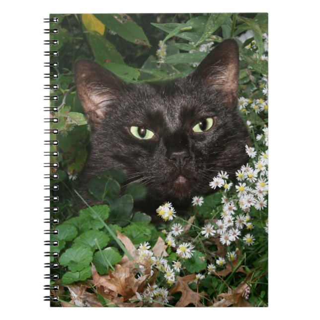 Svart katt med vilda blommor anteckningsbok (Framsidan)