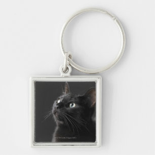 Svart katt mot svart bakgrund, närbild fyrkantig silverfärgad nyckelring
