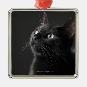 Svart katt mot svart bakgrund, närbild julgransprydnad metall