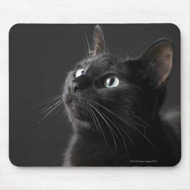 Svart katt mot svart bakgrund, närbild musmatta (Framsidan)