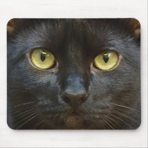 Svart katt musmatta
