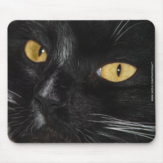 Svart katt musmatta (Framsidan)