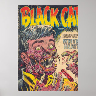 Svart katt Mysteri 050 Poster