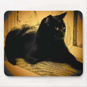 Svart katt och orange musmatta