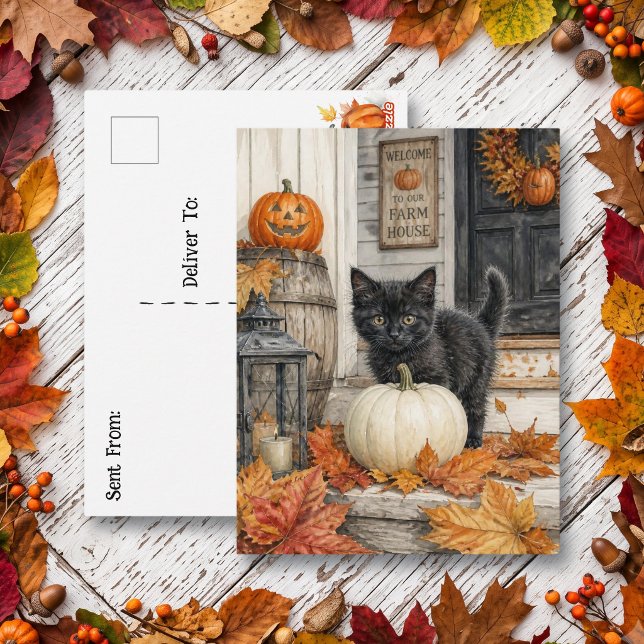 Svart katt och pumpa | Glad Halloween  Vykort (Skapare uppladdad)