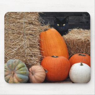 Svart katt och pumpor musmatta