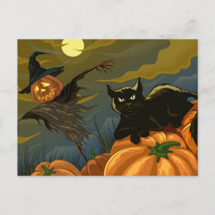 Svart katt- och pumpvaru-fågelskrämma vykort