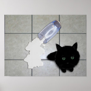 Svart katt och spillt mjölk poster