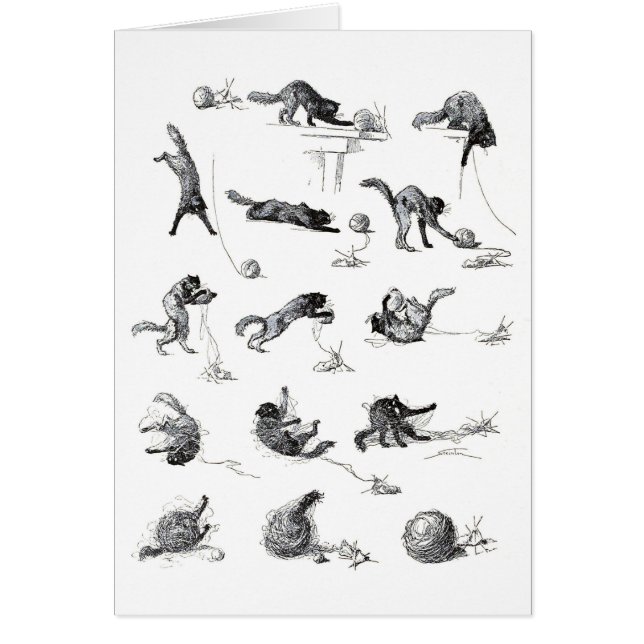 Svart katt- och Woolengarn boll, Alexandre Steinle Hälsningskort (Framsidan)