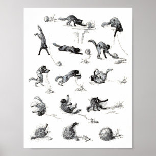 Svart katt- och Woolengarn boll, Alexandre Steinle Poster