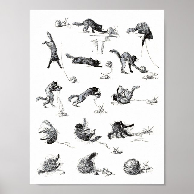 Svart katt- och Woolengarn boll, Alexandre Steinle Poster (Framsidan)