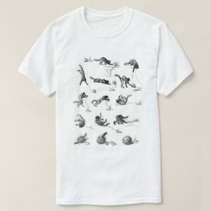 Svart katt- och Woolengarn boll, Alexandre Steinle T Shirt