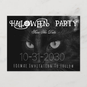 Svart katt Ögon Halloween fest sparar datumet Meddelande Vykort
