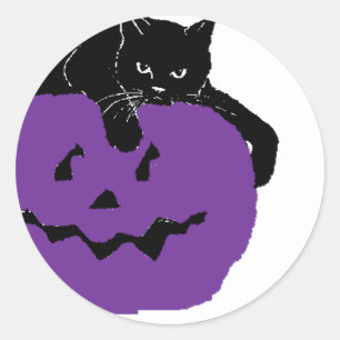 Svart katt på en purpurfärgad pumpa runt klistermärke