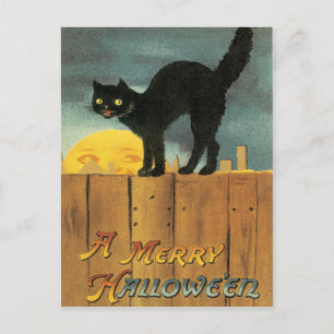 Svart katt på ett vykort för Vintage av stängsel