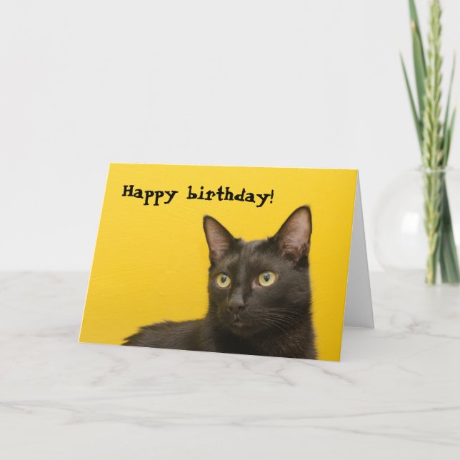 Svart katt på gul födelsedag kort (Framsida)