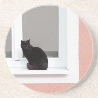 Svart katt på korall underlägg