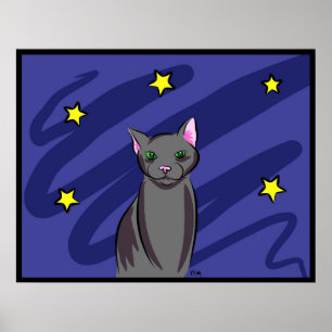 Svart katt på natten poster
