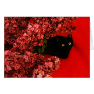svart katt på rött hälsningskort