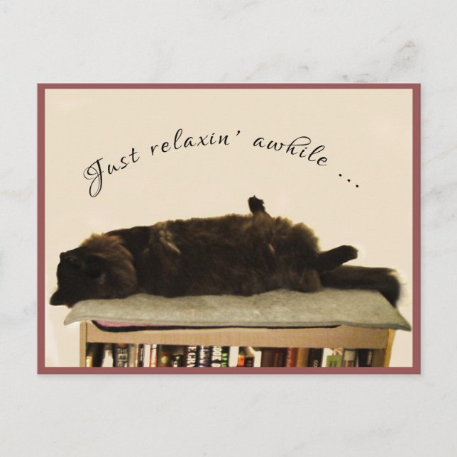 Svart katt på vaccin vykort (Framsida)