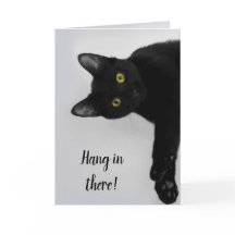 Svart katt-Personlig-källa