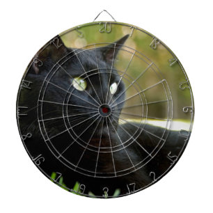 Svart katt piltavla