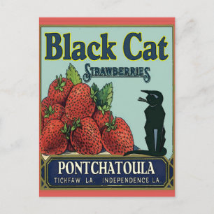 Svart katt, Pontchatoula Strawbär Vykort