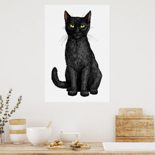 Svart katt poster