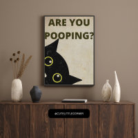 Svart katt Poster du