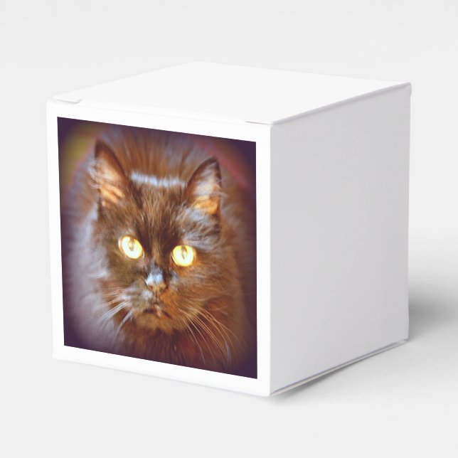svart katt presentaskar (Framsidan Sidan)