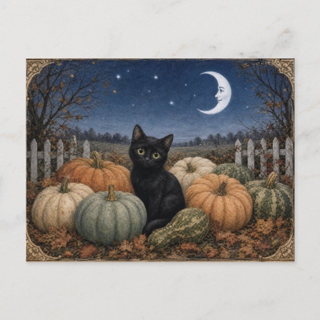 Svart Katt Pumpafält Vintage Vykort (Framsida)