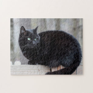 Svart katt pussel
