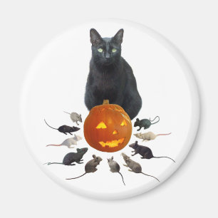 Svart katt, råttor och jack o lantern magnet