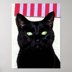 Svart katt/Rött vitt blått Poster