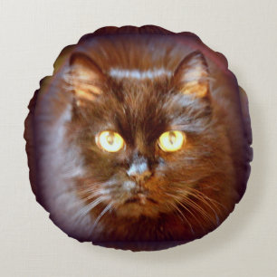 svart katt rund kudde