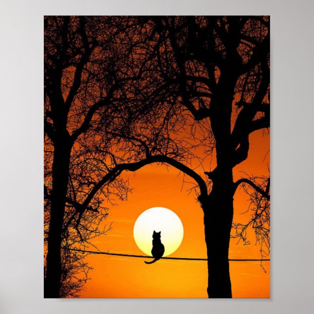 Svart katt Siluett Solnedgång Poster (Framsidan)