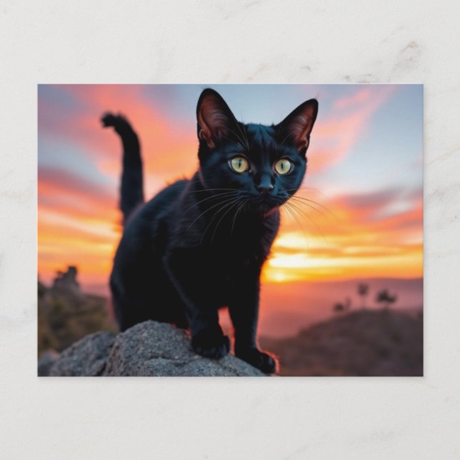 Svart katt Siluett vid solnedgång vykort (Framsida)