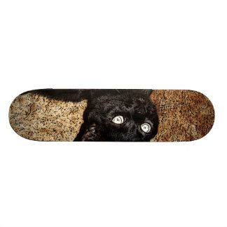 svart katt skateboard bräda 19,5 cm