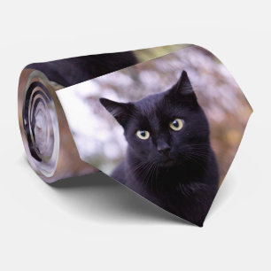 svart katt slips