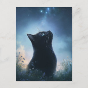 Svart katt som betraktar stjärnkonstellation natt vykort
