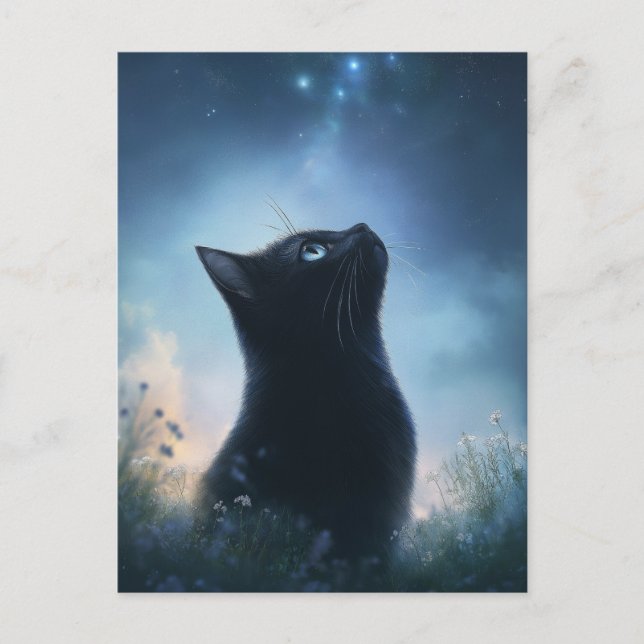 Svart katt som betraktar stjärnkonstellation natt  vykort (Framsida)